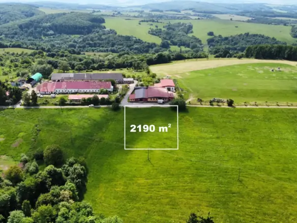 Prodej komerčního pozemku v Petrůvce u Slavičína