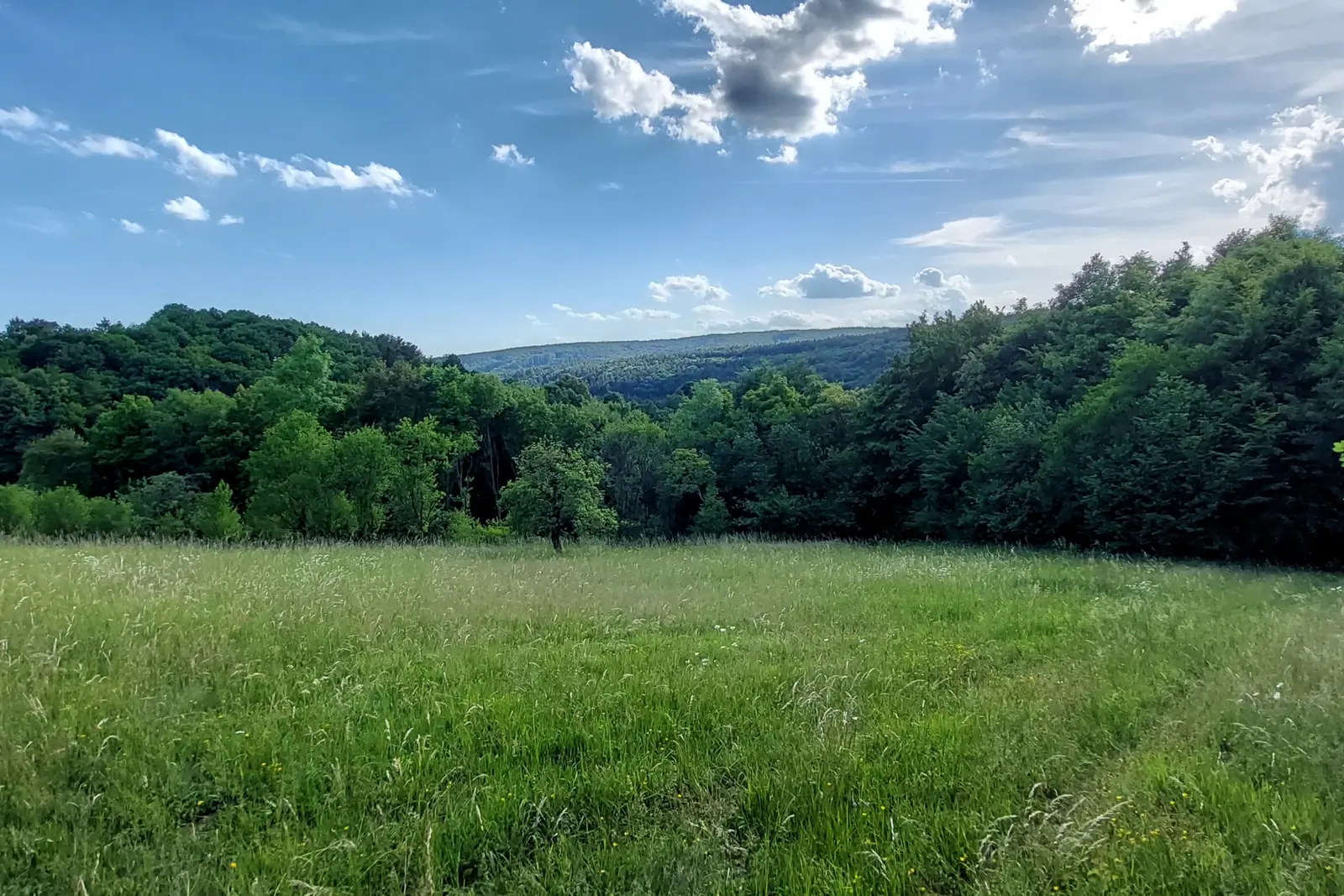 Prodej zemědělských pozemků v Březůvkách
