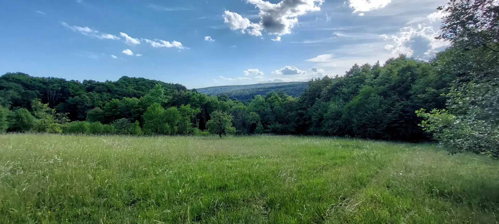 Prodej zemědělských pozemků v Březůvkách