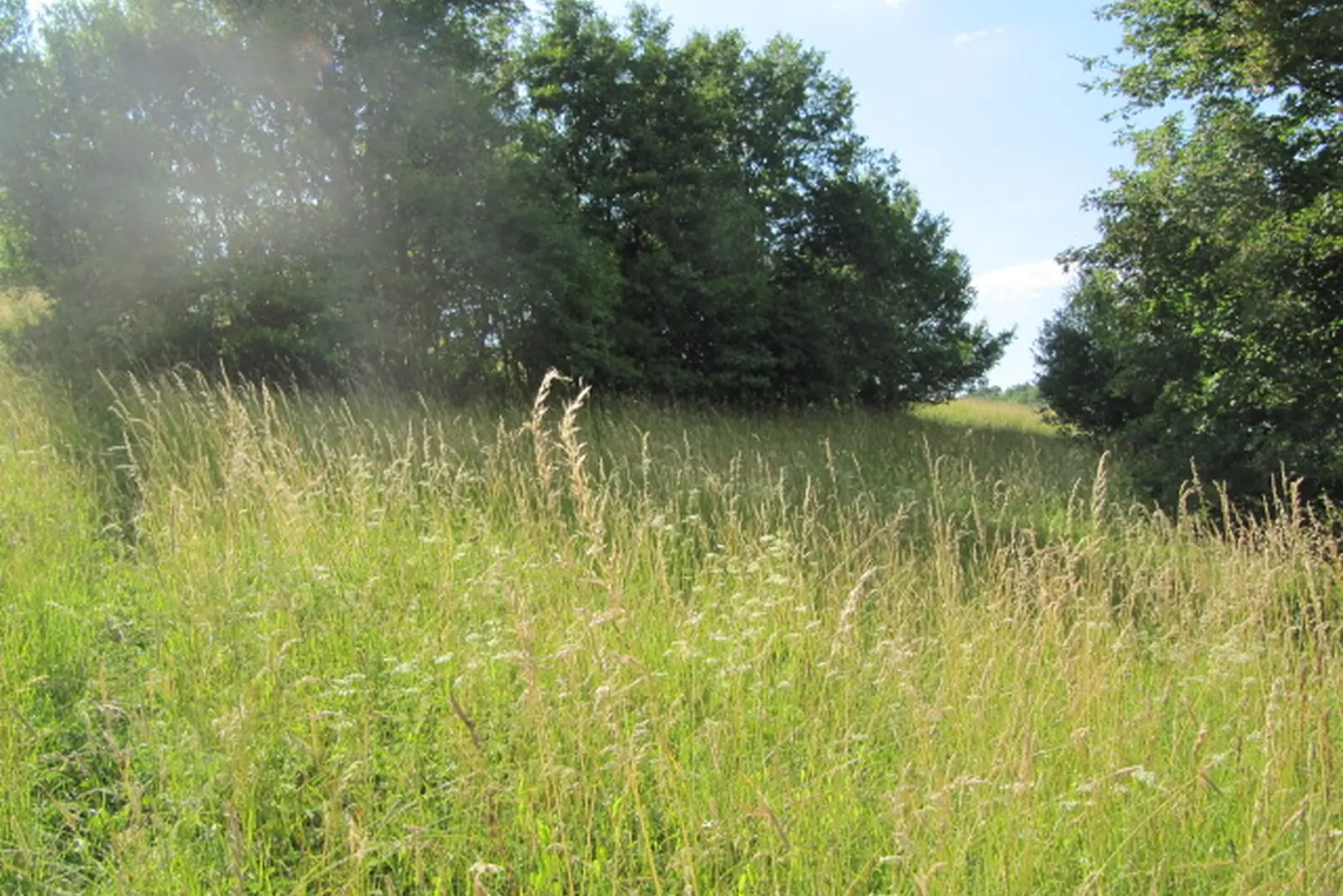 Prodej zemědělských pozemků v Březůvkách
