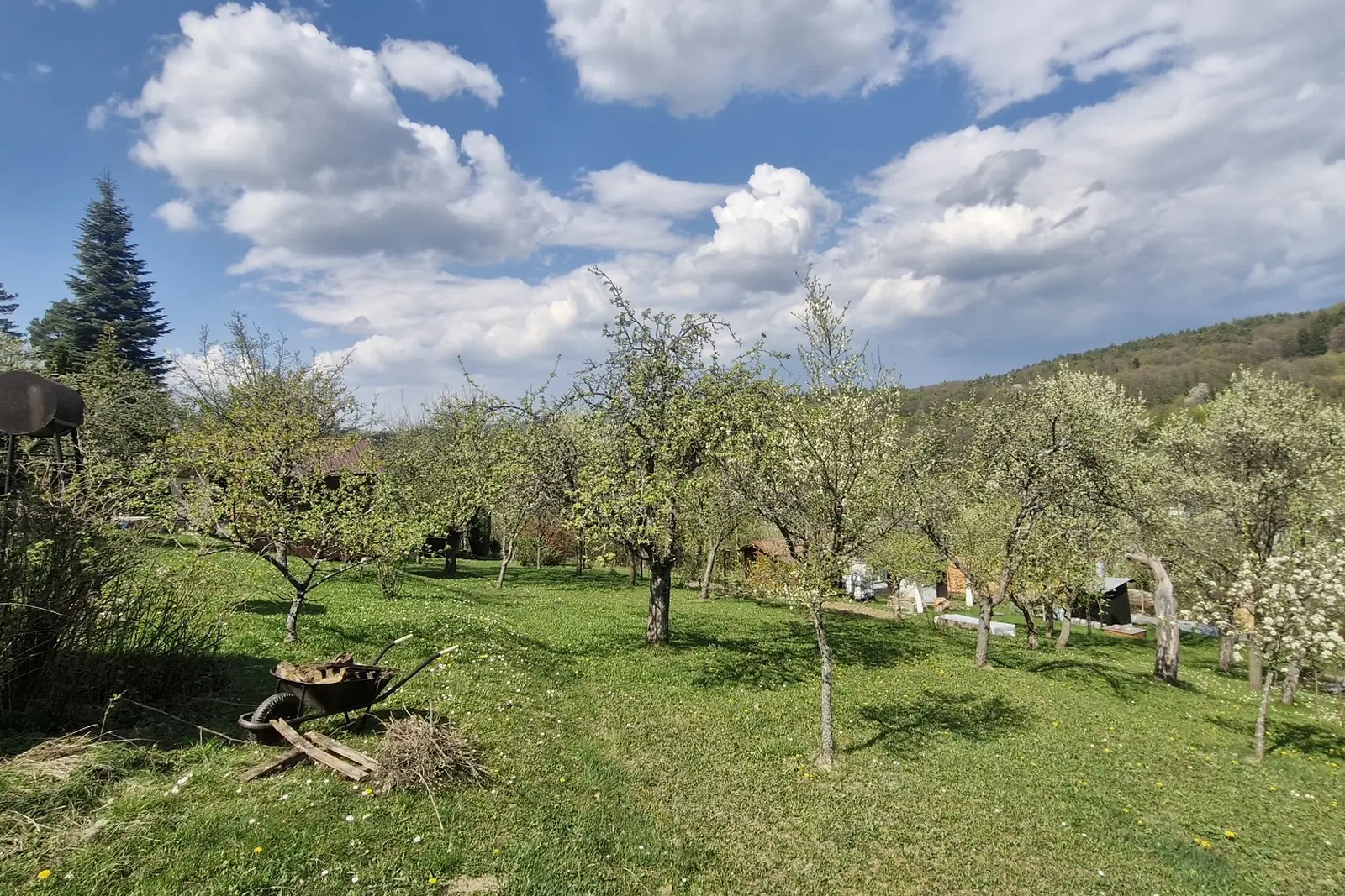 Prodej zahrady s chatkou v Luhačovicích